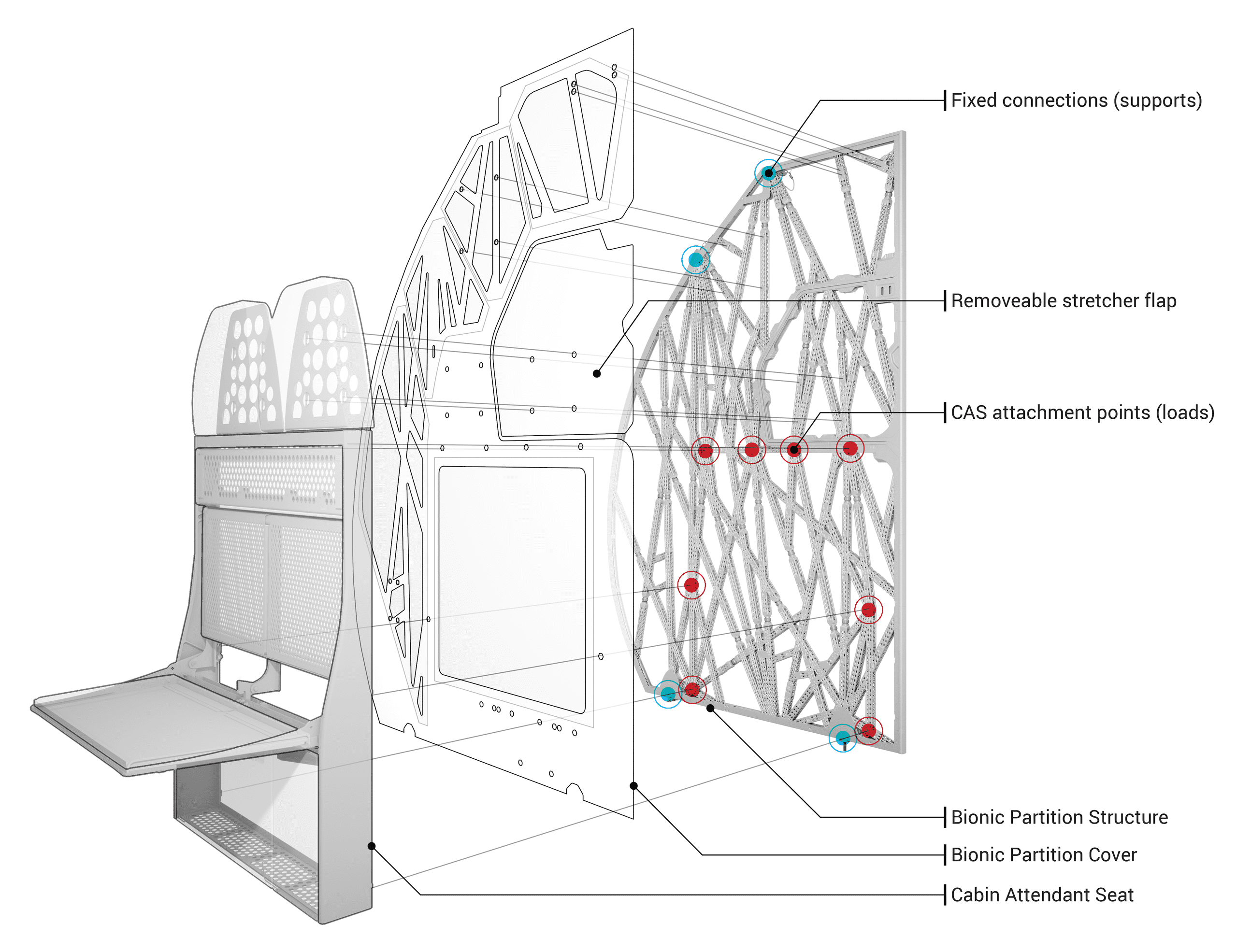 Bionic Partition